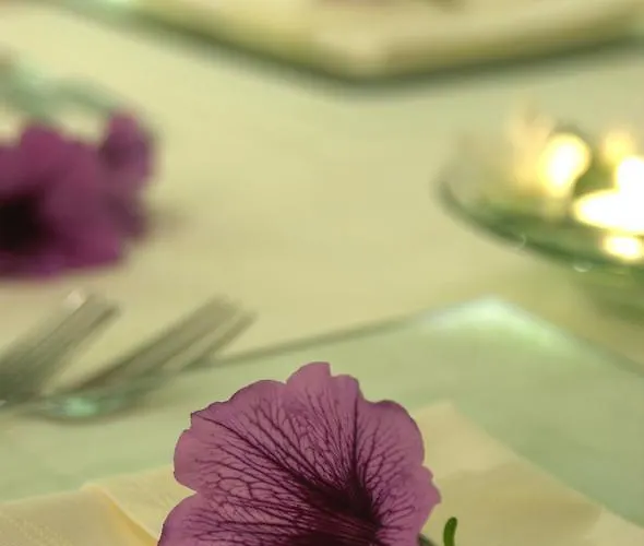 Clau Del Loup - Logis